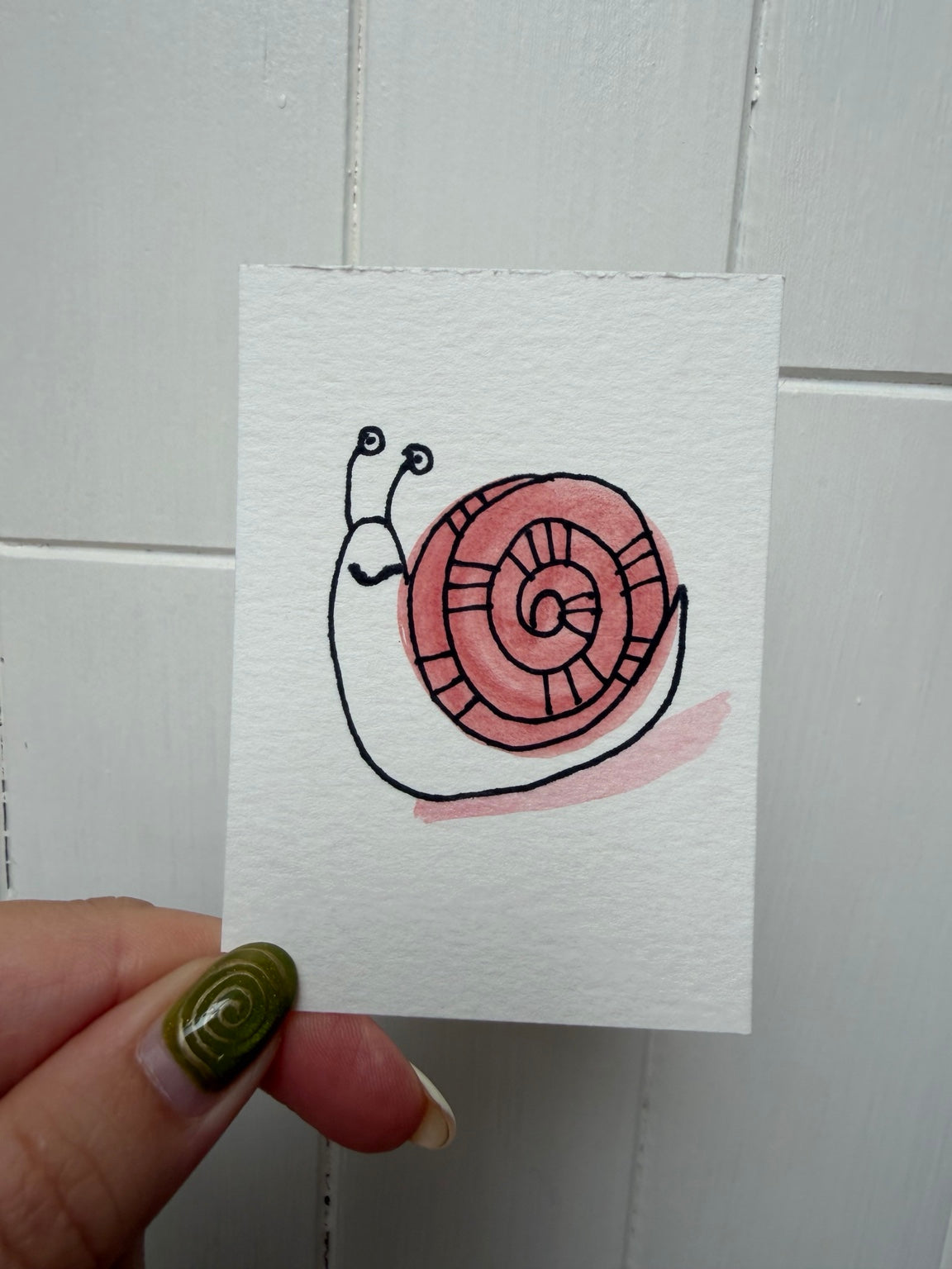 Coral Striped Shell Snail – Original Mini Watercolor & Ink Art