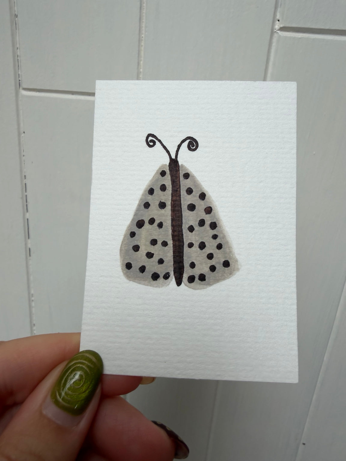 Gray Spotted Moth – Original Mini Watercolor & Ink Art